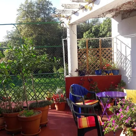 Bed & Breakfast Les Camelias Mazamet