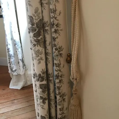 Les Camelias * Mazamet