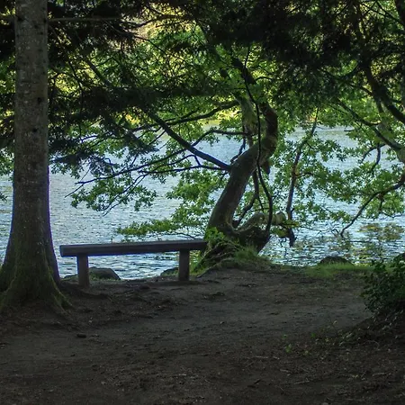 Bed & Breakfast Les Camelias