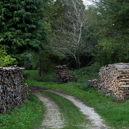 Bed & Breakfast Les Camelias