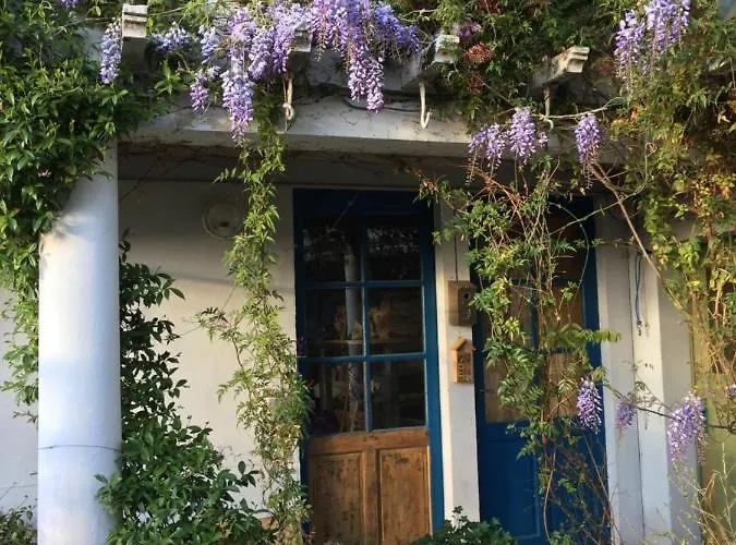 Bed and Breakfast Les Camelias Mazamet