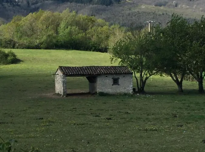 Les Camelias Bed and Breakfast