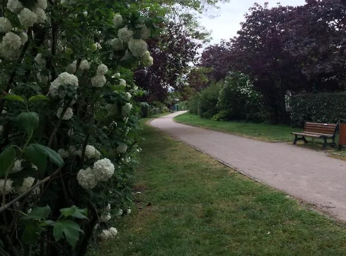 Bed and Breakfast Les Camelias *