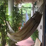 Les Camelias