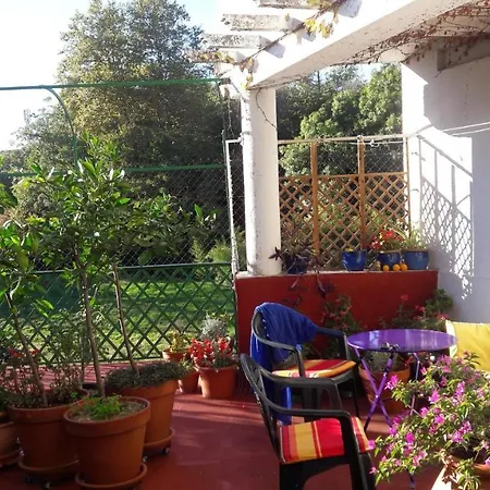 فندق مبيت وإفطار Les Camelias مازامي