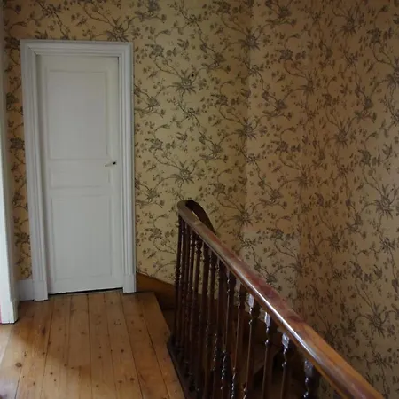 Les Camelias * Mazamet