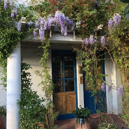 Bed & Breakfast Les Camelias Mazamet