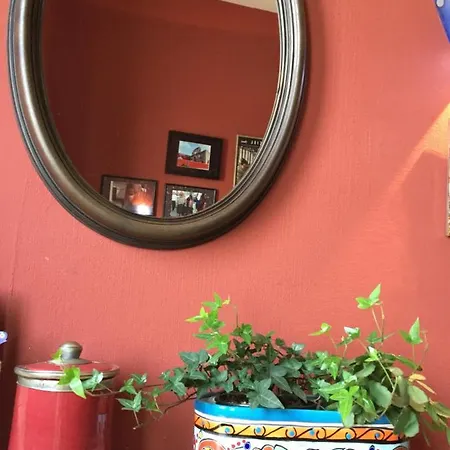 Les Camelias Mazamet