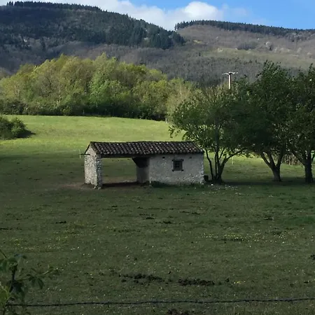 Les Camelias Bed and breakfast