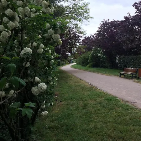 Nocleg ze śniadaniem Les Camelias *