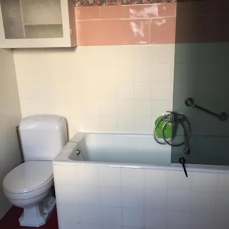 Les Camelias * Mazamet