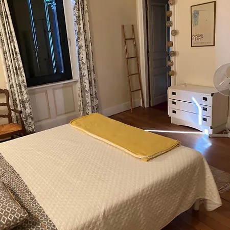 Les Camelias * Mazamet