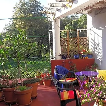 Les Camelias לינה וארוחת בוקר מזמה