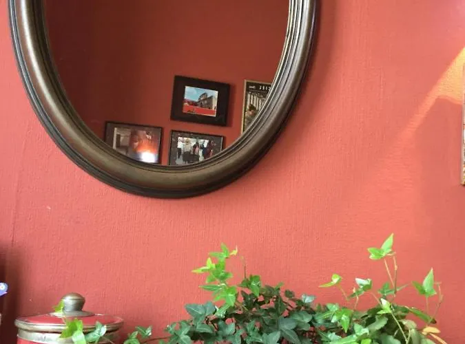 Les Camelias Мазаме